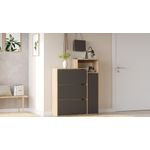 Casa si Gradina - Mobilier - Dulapuri si sifoniere - Dulapuri pantofi - Pantofar Ico3-Sa, 108 x 130,6 x 30 cm, stejar antracit, PAL melaminat - Infinity.ro