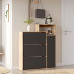 Casa si Gradina - Mobilier - Dulapuri si sifoniere - Dulapuri pantofi - Pantofar Ico3-Sa, 108 x 130,6 x 30 cm, stejar antracit, PAL melaminat - Infinity.ro