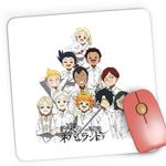PC, gaming si accesorii - Periferice PC - Mousepad - Mousepad Gaming The Promised Neverland Toata Echipa, 21x19 cm - Infinity.ro