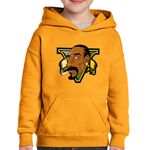 Fashion, accesorii si bijuterii - Copii - Imbracaminte copii - Pulovere si hanorace copii - Hanorac copii Grand Theft Auto Snoop Dogg GTA, portocaliu, marime S Copii - Infinity.ro