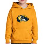 Fashion, accesorii si bijuterii - Copii - Imbracaminte copii - Pulovere si hanorace copii - Hanorac copii Wolverine XMen Army Valentines Day, portocaliu, marime L Copii - Infinity.ro