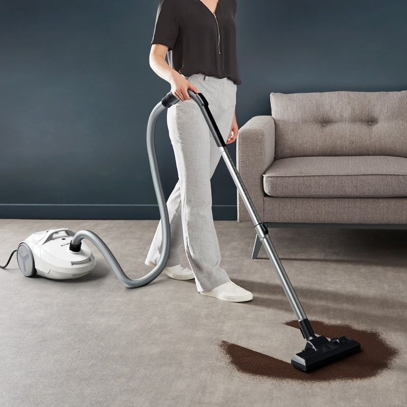 Electronice si Electrocasnice - Ingrijirea locuintei - Aspiratoare - Aspirator cu sac Rowenta Compact Power RO3927EA, 750W, filtrare 2 nivele 99.98%, recipient sac 3L, raza de operare - Infinity.ro