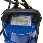 Casa si Gradina - Gradinarit si plante - Instalatii si accesorii pentru irigatii - Pompe apa - Pompa evacuare micul fermier, 0.55 kw, debit maxim 3900 l/h, inaltime maxima de pompare 20m, corp pompa fonta, cu plutit - Infinity.ro
