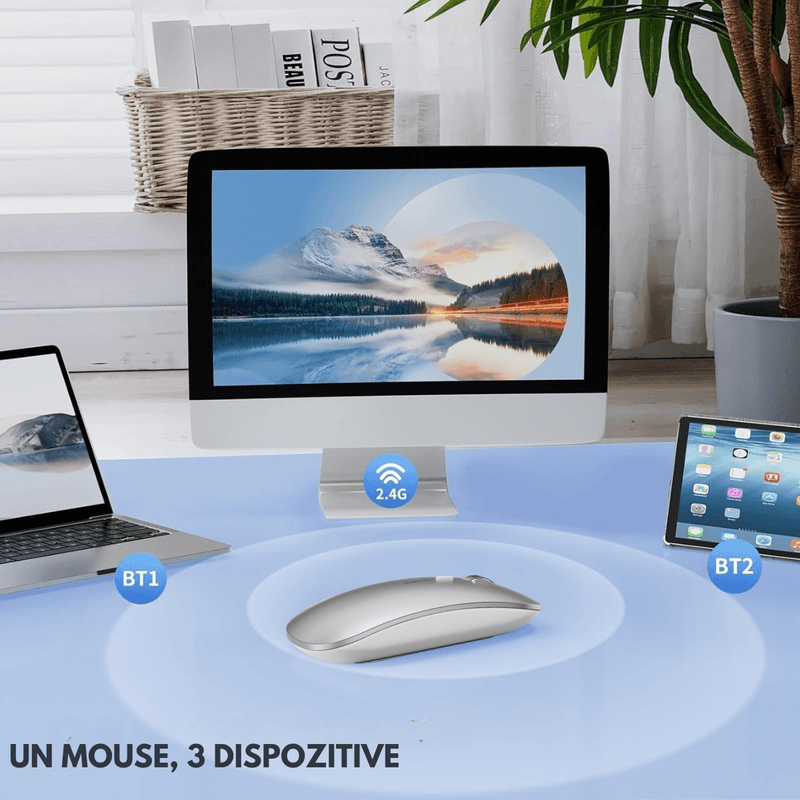 PC, gaming si accesorii - Periferice PC - Mouse - Mouse Wireless Reincarcabil QOVA®, Dual Mode Bluetooth 5.1 + 2.4GHz, Reincarcabil USB-C, Click Silentios, DPI Reglabil - Infinity.ro