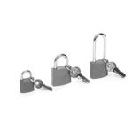 Casa si Gradina - Constructii - Feronerie si accesorii - Lacate - Set 3 Lacate Metalice de Siguranta cu Chei, Dimensiuni Diferite pentru Protectie Universala - Infinity.ro