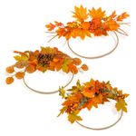 Casa si Gradina - Decoratiuni - Decoratiuni de sezon - Coronita decorativa toamna, 24 cm, decor usa sau masa, 3 modele - Infinity.ro