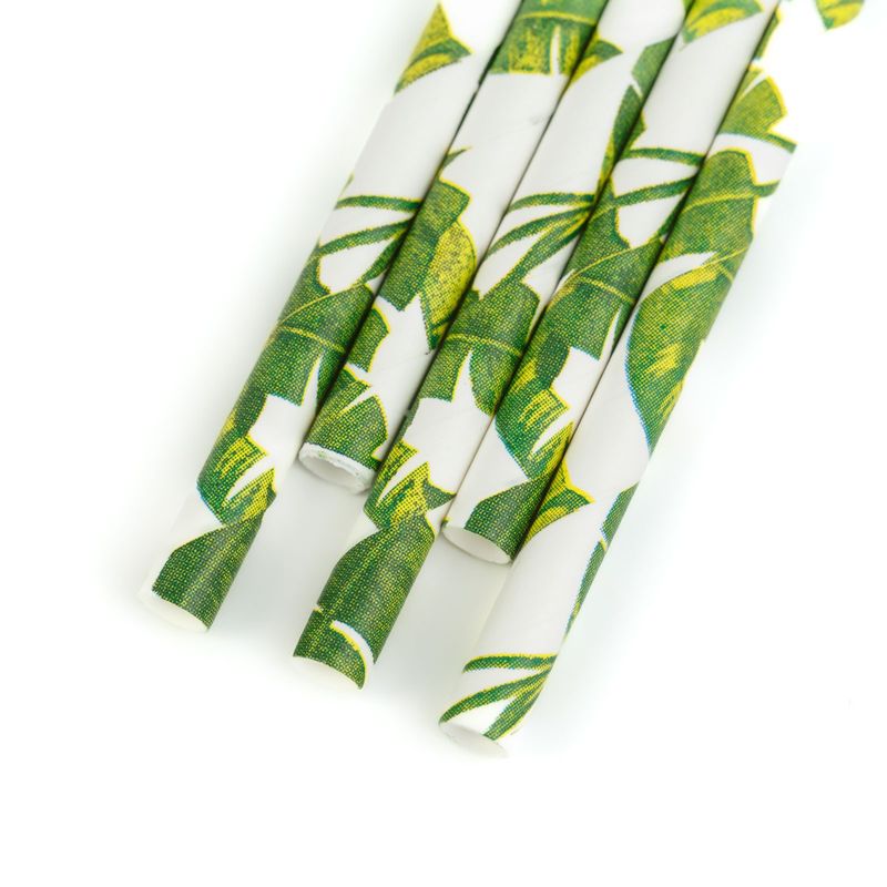 Casa si Gradina - Bucatarie si vesela - Accesorii bar - Paie si decoratiuni cocktail - Paie hartie model jungla 25 buc, 197 mm, eco, pentru bauturi, cocktail, petreceri - Infinity.ro