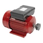 Casa si Gradina - Gradinarit si plante - Instalatii si accesorii pentru irigatii - Pompe apa - Motor electric micul fermier 2.2kw, 3000 rpm, carcasa fonta, Motor electric monofazat asincron, Utilizare durabila - Infinity.ro