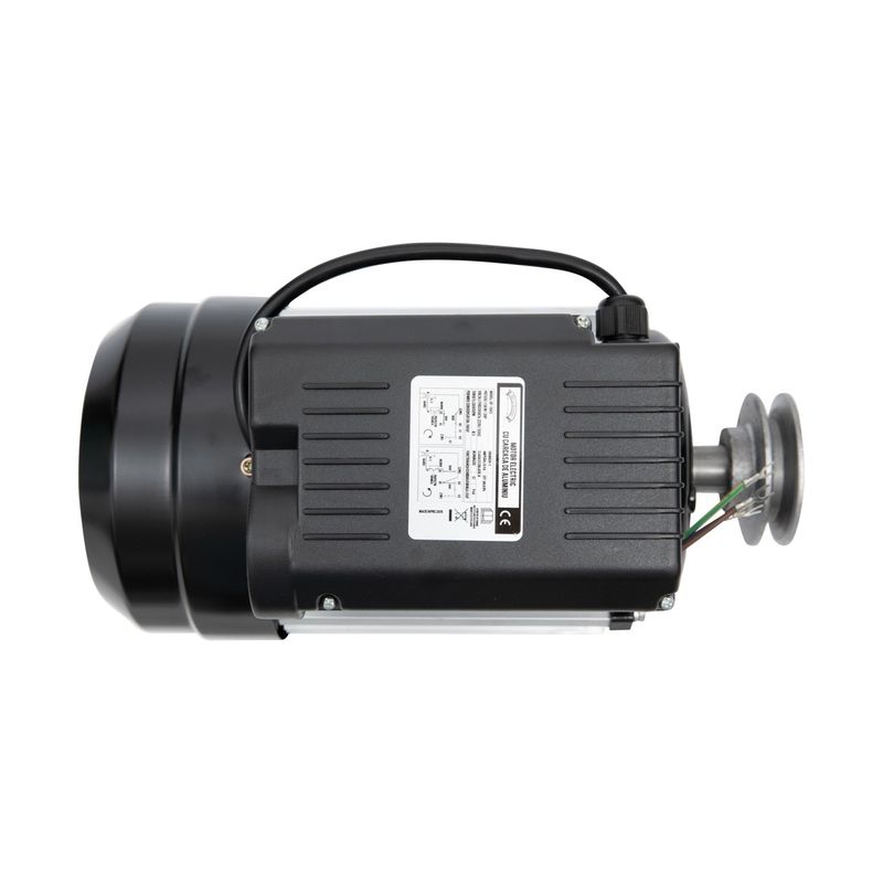 Casa si Gradina - Gradinarit si plante - Instalatii si accesorii pentru irigatii - Pompe apa - Motor electric micul fermier 1.5kw, 2800 rpm, carcasa aluminiu, Fulie simpla/dubla, Arbore iesire - Infinity.ro