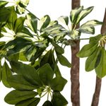 Casa si Gradina - Decoratiuni - Obiecte decorative - Plante artificiale - Planta artificiala Schefflera cu ghiveci, 135 cm, verde - Infinity.ro