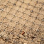 Casa si Gradina - Gradinarit si plante - Sere si solarii - Plasa gradina anti daunatori si cartite, 45g/m2, 2x100 metri, ochiuri 16 mm, negru - Infinity.ro