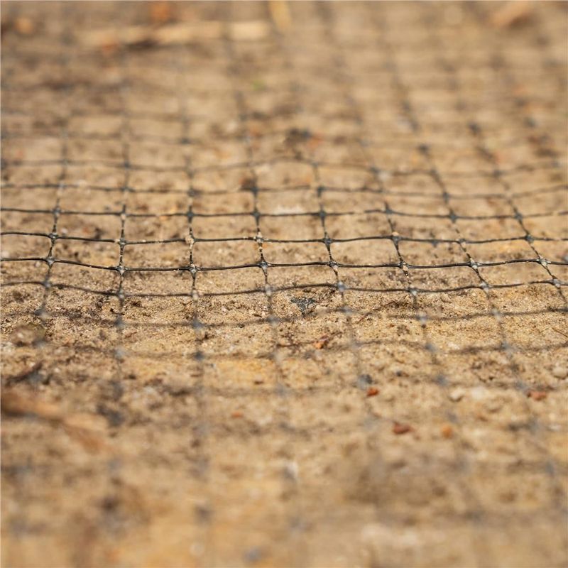 Casa si Gradina - Gradinarit si plante - Sere si solarii - Plasa gradina anti daunatori si cartite, 45g/m2, 2x100 metri, ochiuri 16 mm, negru - Infinity.ro
