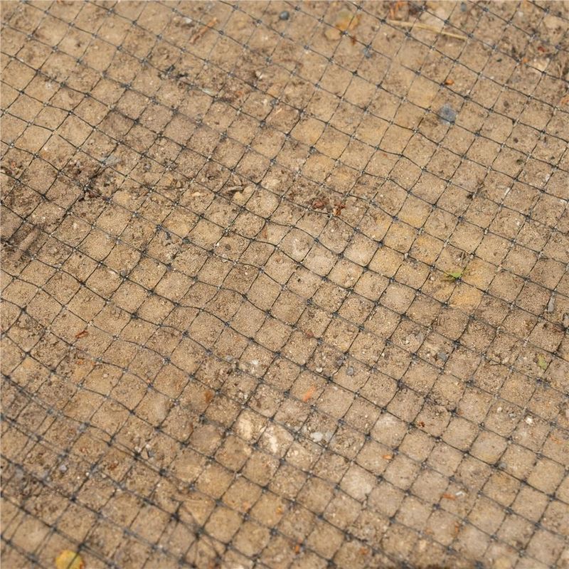 Casa si Gradina - Gradinarit si plante - Sere si solarii - Plasa gradina anti daunatori si cartite, 45g/m2, 2x200 metri, ochiuri 15 mm, negru - Infinity.ro