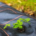 Casa si Gradina - Gradinarit si plante - Sere si solarii - Folie agrotextil, mulcire, antiburuieni, filtru UV, 50 x 1.1metri, 135g/m2, negru - Infinity.ro