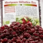 Market - Bacanie - Chipsuri si snacksuri - Fructe uscate - Merisoare salbatice BIO, indulcite cu suc de mere, 150g - Infinity.ro