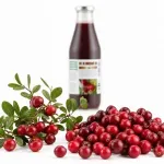 Market - Bauturi - Bauturi non-alcoolice - Bauturi necarbogazoase - Suc de merisoare 100% BIO neindulcit, 750ml - Infinity.ro