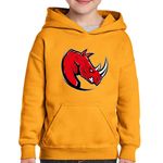 Fashion, accesorii si bijuterii - Copii - Imbracaminte copii - Pulovere si hanorace copii - Hanorac copii League of Legends Electronic Video Game Riot LoL, negru, marime L Copii - Infinity.ro