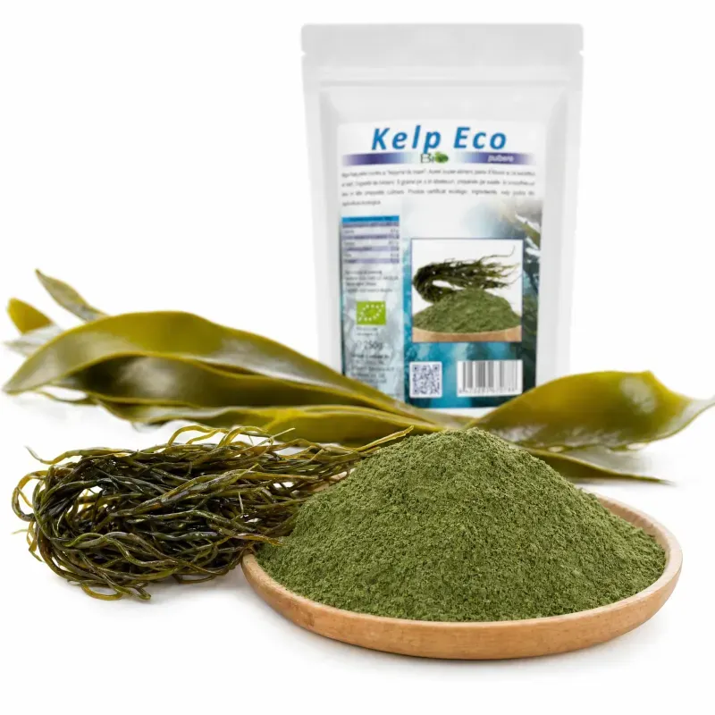 Ingrijire personala si Cosmetice - Sanatate si wellness - Suplimente alimentare - Alte suplimente alimentare - Alga Kelp pudra BIO, 250g - Infinity.ro