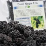 Market - Bacanie - Chipsuri si snacksuri - Fructe uscate - Dude negre uscate BIO, 200g - Infinity.ro