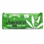 Ingrijire personala si Cosmetice - Sanatate si wellness - Suplimente alimentare - Alte suplimente alimentare - Baton raw BIO cu canepa, Jamaica, 40g - Infinity.ro