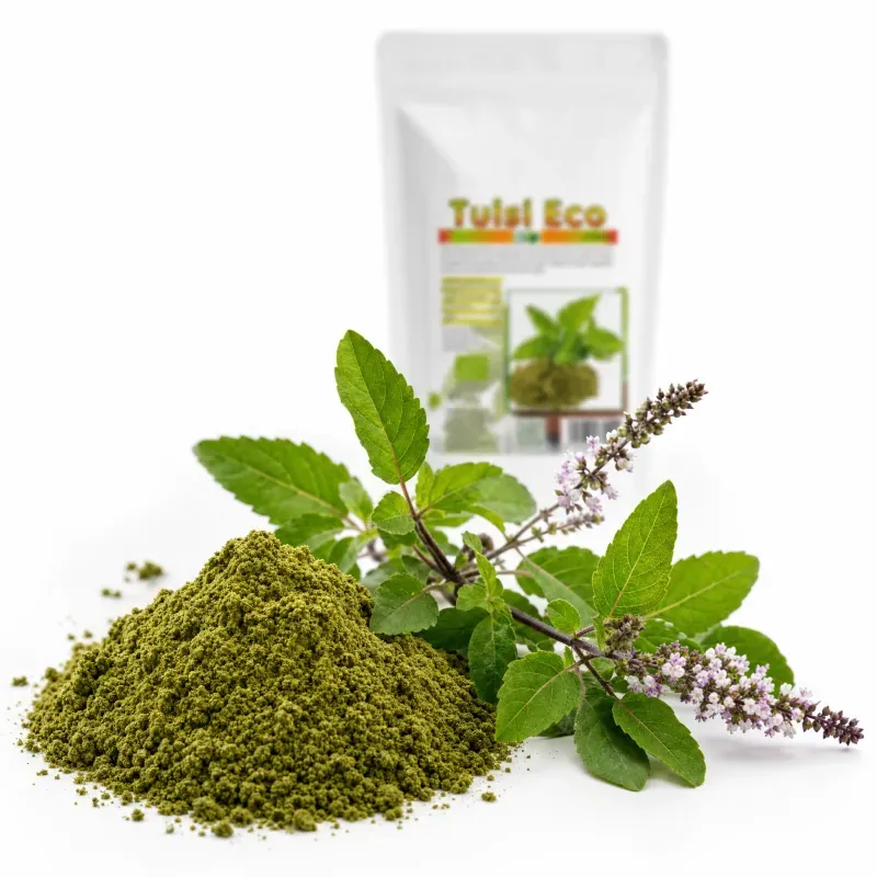 Ingrijire personala si Cosmetice - Sanatate si wellness - Suplimente alimentare - Alte suplimente alimentare - Tulsi, pulbere, BIO 250g - Infinity.ro