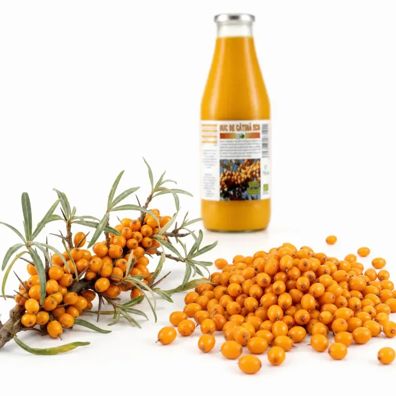Market - Bauturi - Bauturi non-alcoolice - Bauturi necarbogazoase - Suc de catina 100% BIO, 750ml - Infinity.ro