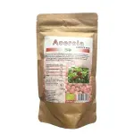 Ingrijire personala si Cosmetice - Sanatate si wellness - Suplimente alimentare - Alte suplimente alimentare - Acerola pudra liofilizata BIO, 100g - Infinity.ro