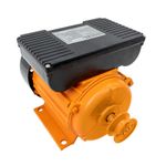 Casa si Gradina - Gradinarit si plante - Instalatii si accesorii pentru irigatii - Pompe apa - Motor electric monofazat, 0.75 kW, 3000 rpm, Rotor RME-801/2 - Infinity.ro