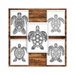 Carti si Birotica - Carti - Carti pentru copii - Carti de colorat - Carte de colorat antistres , 30 de ilustratii Mandala Broaste Testoase, 66 pagini, A5 - Infinity.ro
