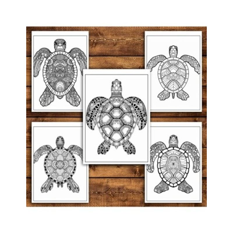 Carti si Birotica - Carti - Carti pentru copii - Carti de colorat - Carte de colorat antistres , 30 de ilustratii Mandala Broaste Testoase, 66 pagini, A5 - Infinity.ro