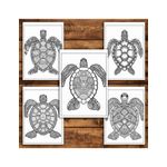Carti si Birotica - Carti - Carti pentru copii - Carti de colorat - Carte de colorat antistres , 30 de ilustratii Mandala Broaste Testoase, 66 pagini, A5 - Infinity.ro