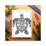 Carti si Birotica - Carti - Carti pentru copii - Carti de colorat - Carte de colorat antistres , 30 de ilustratii Mandala Broaste Testoase, 66 pagini, A5 - Infinity.ro