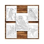 Carti si Birotica - Carti - Carti pentru copii - Carti de colorat - Carte de colorat antistres , 39 de ilustratii Mandale cu Pasari, 84 pagini, A5 - Infinity.ro
