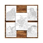 Carti si Birotica - Carti - Carti pentru copii - Carti de colorat - Carte de colorat antistres , 39 de ilustratii Mandale cu Pasari, 84 pagini, A5 - Infinity.ro