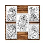 Carti si Birotica - Carti - Carti pentru copii - Carti de colorat - Carte de colorat antistres , 50 de ilustratii Dragoni si Flori, 106 pagini, A5 - Infinity.ro