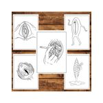 Carti si Birotica - Carti - Carti pentru copii - Carti de colorat - Carte de colorat antistres , 50 de ilustratii Vulva, 106 pagini, A5 - Infinity.ro