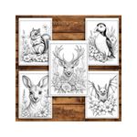 Carti si Birotica - Carti - Carti pentru copii - Carti de colorat - Carte de colorat antistres, 50 de ilustratii Animale cu Flori - Editia Premium - Volumul I, A5 - Infinity.ro