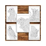 Carti si Birotica - Carti - Carti pentru copii - Carti de colorat - Carte de colorat antistres, 50 de ilustratii Animale Mandala - Editia Premium - Volumul I, A5 - Infinity.ro