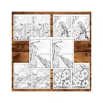 Carti si Birotica - Carti - Carti pentru copii - Carti de colorat - Carte de colorat Dual Vision, 50x2 ilustratii cu Primavara, 106 pagini, A5 - Infinity.ro