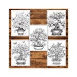 Carti si Birotica - Carti - Carti pentru copii - Carti de colorat - Carte de colorat pentru adulti, 50 de ilustratii, Bonsai, 106 pagini, A5 - Infinity.ro