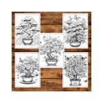 Carti si Birotica - Carti - Carti pentru copii - Carti de colorat - Carte de colorat pentru adulti, 50 de ilustratii, Bonsai, 106 pagini, A5 - Infinity.ro