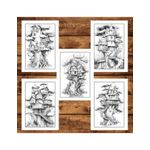 Carti si Birotica - Carti - Carti pentru copii - Carti de colorat - Carte de colorat pentru adulti, 50 de ilustratii, Case in copac, 106 pagini, A5 - Infinity.ro