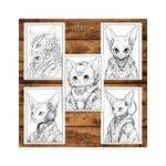 Carti si Birotica - Carti - Carti pentru copii - Carti de colorat - Carte de colorat pentru adulti, 50 de ilustratii, Cyborg Cats, 106 pagini, A5 - Infinity.ro
