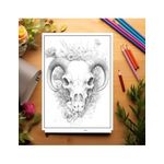 Carti si Birotica - Carti - Carti pentru copii - Carti de colorat - Carte de colorat pentru adulti, 50 de ilustratii, Cranii Florale, 106 pagini, A5 - Infinity.ro
