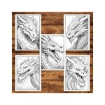 Carti si Birotica - Carti - Carti pentru copii - Carti de colorat - Carte de colorat pentru adulti, 50 de ilustratii, Dragoni, 106 pagini, A5 - Infinity.ro