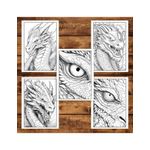 Carti si Birotica - Carti - Carti pentru copii - Carti de colorat - Carte de colorat pentru adulti, 50 de ilustratii, Dragoni, 106 pagini, A5 - Infinity.ro