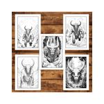 Carti si Birotica - Carti - Carti pentru copii - Carti de colorat - Carte de colorat pentru adulti, 50 de ilustratii, Minotauri, 106 pagini, A5 - Infinity.ro