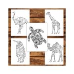 Carti si Birotica - Carti - Carti pentru copii - Carti de colorat - Carte de colorat pentru copii , 50 de ilustratii Animalute Mandala, 106 pagini, A5 - Infinity.ro
