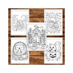 Carti si Birotica - Carti - Carti pentru copii - Carti de colorat - Carte de colorat pentru copii , 50 de ilustratii O Toamna Linistita 106 pagini, A5 - Infinity.ro