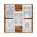 Carti si Birotica - Carti - Carti pentru copii - Carti de colorat - Carte de colorat pentru copii , 50 de ilustratii Padurea Fermecata, 106 pagini, A5 - Infinity.ro